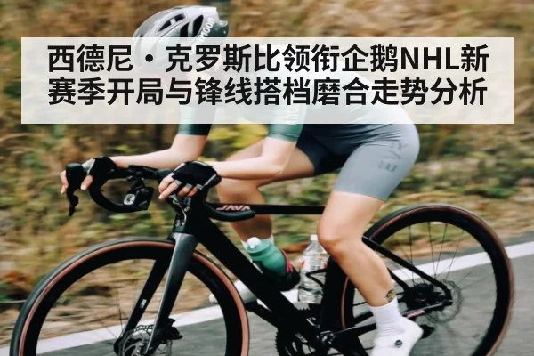 西德尼·克罗斯比领衔企鹅NHL新赛季开局与锋线搭档磨合走势分析